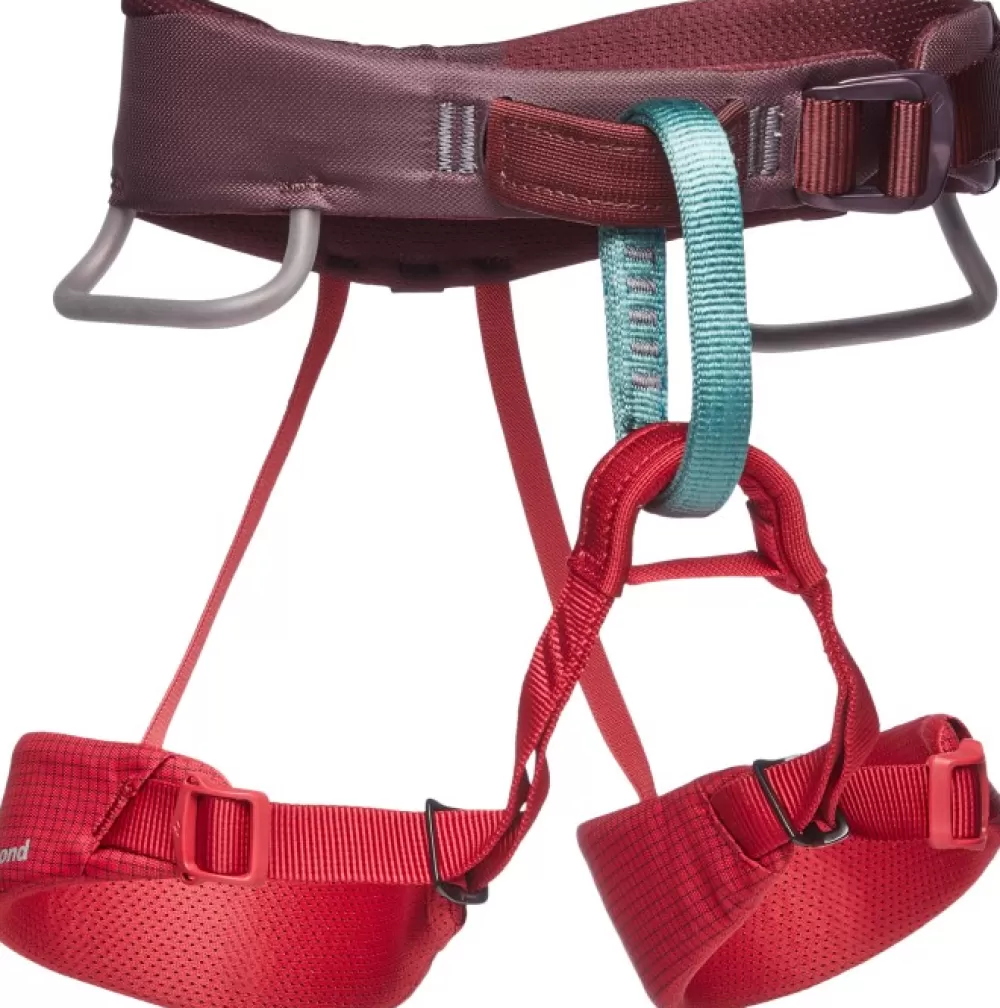 Kiipeilyvarusteet | Black Diamond Kids Momentum Harness Wild Rose