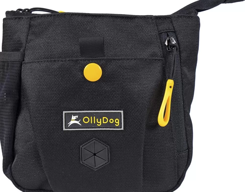 OllyDog Vyölaukut> Backcountry Day Bag Vyolaukku Raven