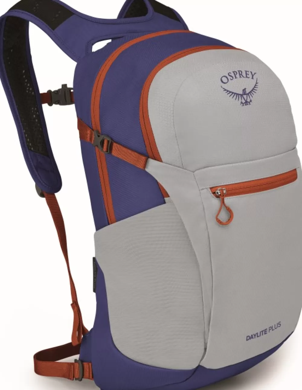 Osprey Alle 25 Litraa> Daylite Plus Reppu, Silver Lining/Blueberry