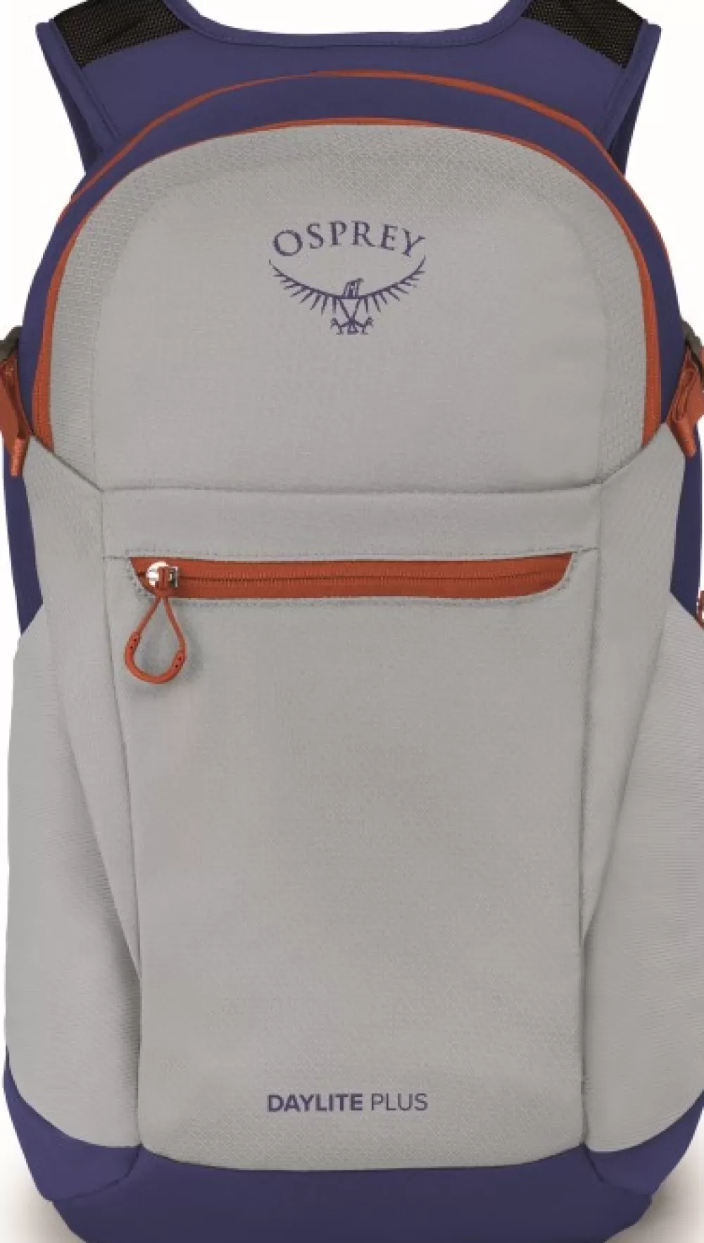 Osprey Alle 25 Litraa> Daylite Plus Reppu, Silver Lining/Blueberry