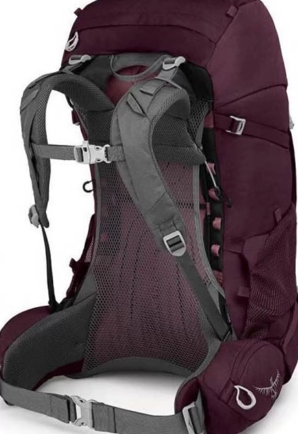 Osprey 25 - 50 Litraa> Renn 50 Naisten Rinkka, Aurora Purple