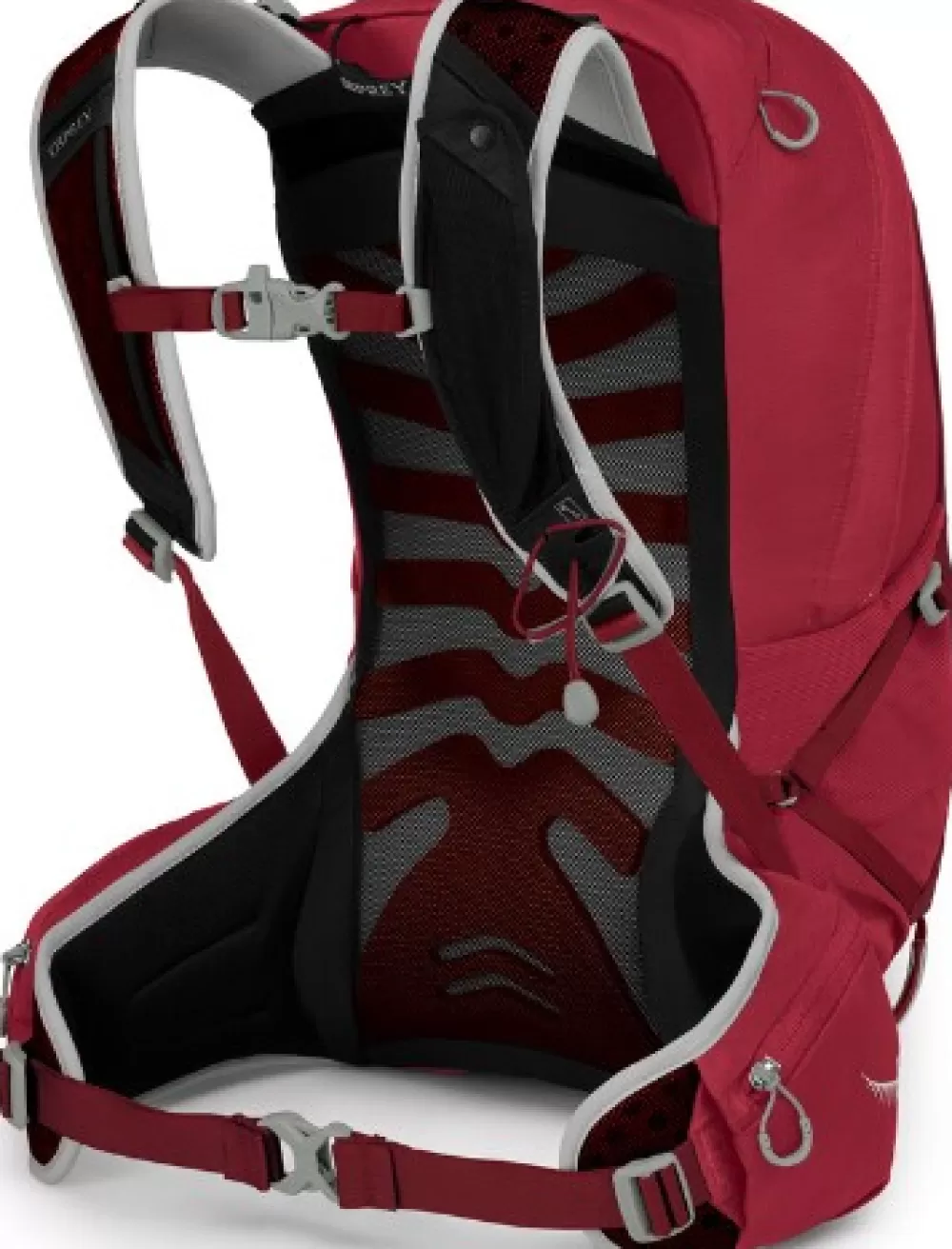 Osprey Alle 25 Litraa> Talon 22 Cosmic Red