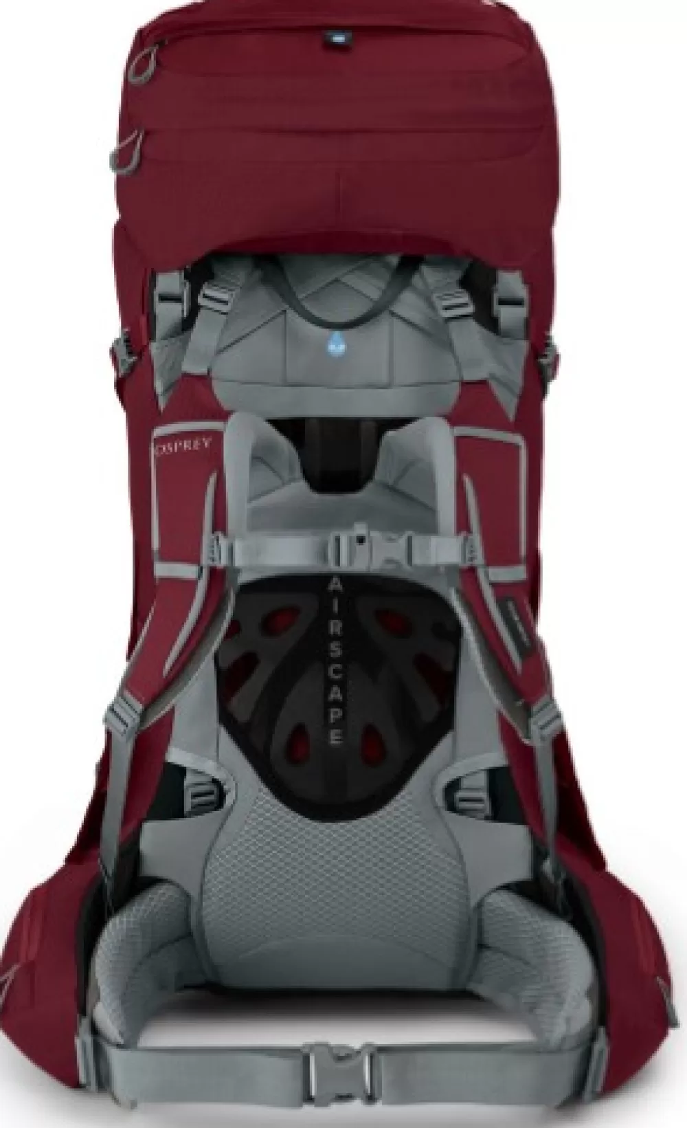 Osprey 50 - 75 Litraa> W'S Ariel 55 Claret Red