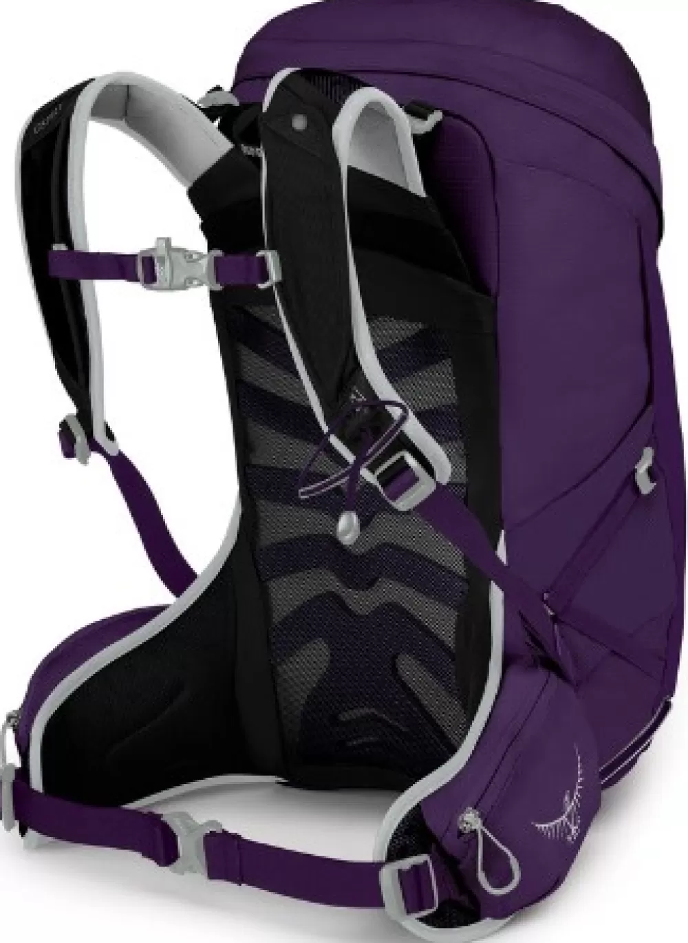 Osprey Alle 25 Litraa> W'S Tempest 24 Violac Purple