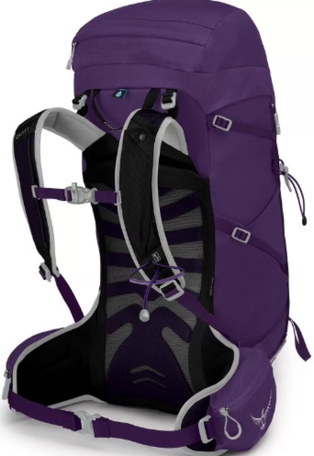 Osprey 25 - 50 Litraa> W'S Tempest 30 Violac Purple